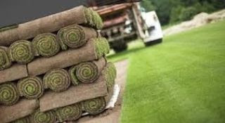 m abo yasin 316491362 441999544776839 8195971630028123246 n